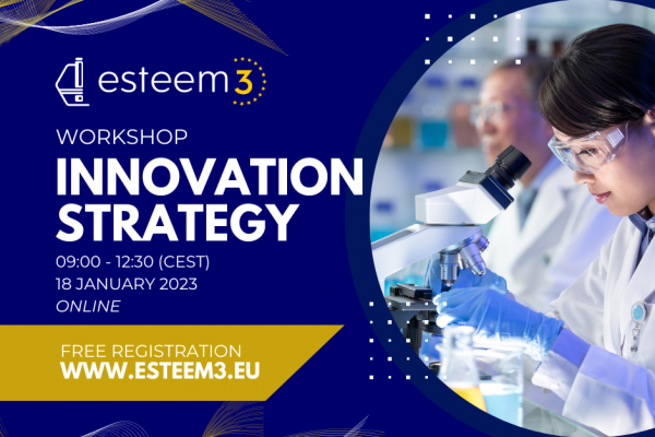 ESTEEM3 Innovation Strategy Workshop flyer
