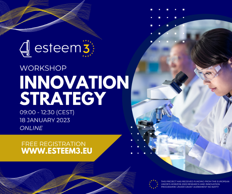 ESTEEM3 Innovation Strategy Workshop flyer