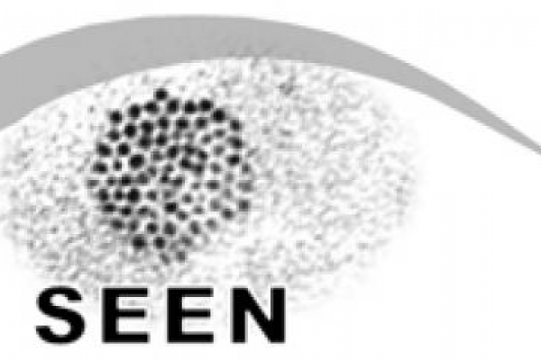 SEEN Logo SEEN Logo