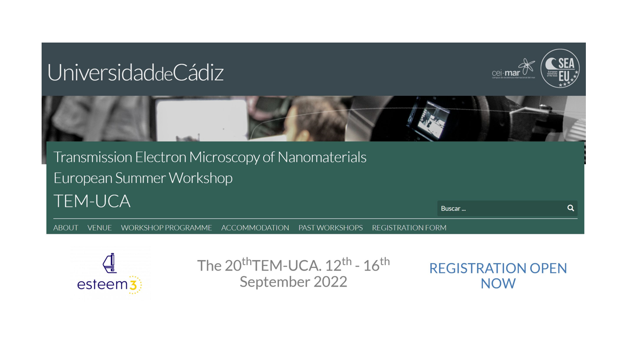 20th TEM-UCA Summer Workshop 