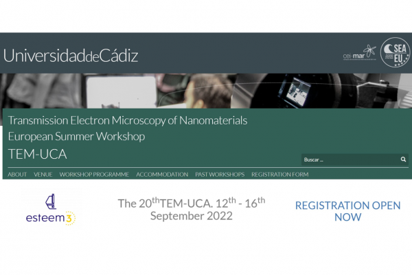 20th TEM-UCA Summer Workshop 