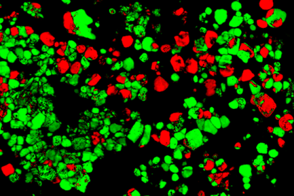 Workshop on Electrochemistry in Liquid TEM and on Orientation/Phase Mapping in Liquid Workshop on Electrochemistry in Liquid TEM and on Orientation/Phase Mapping in Liquid