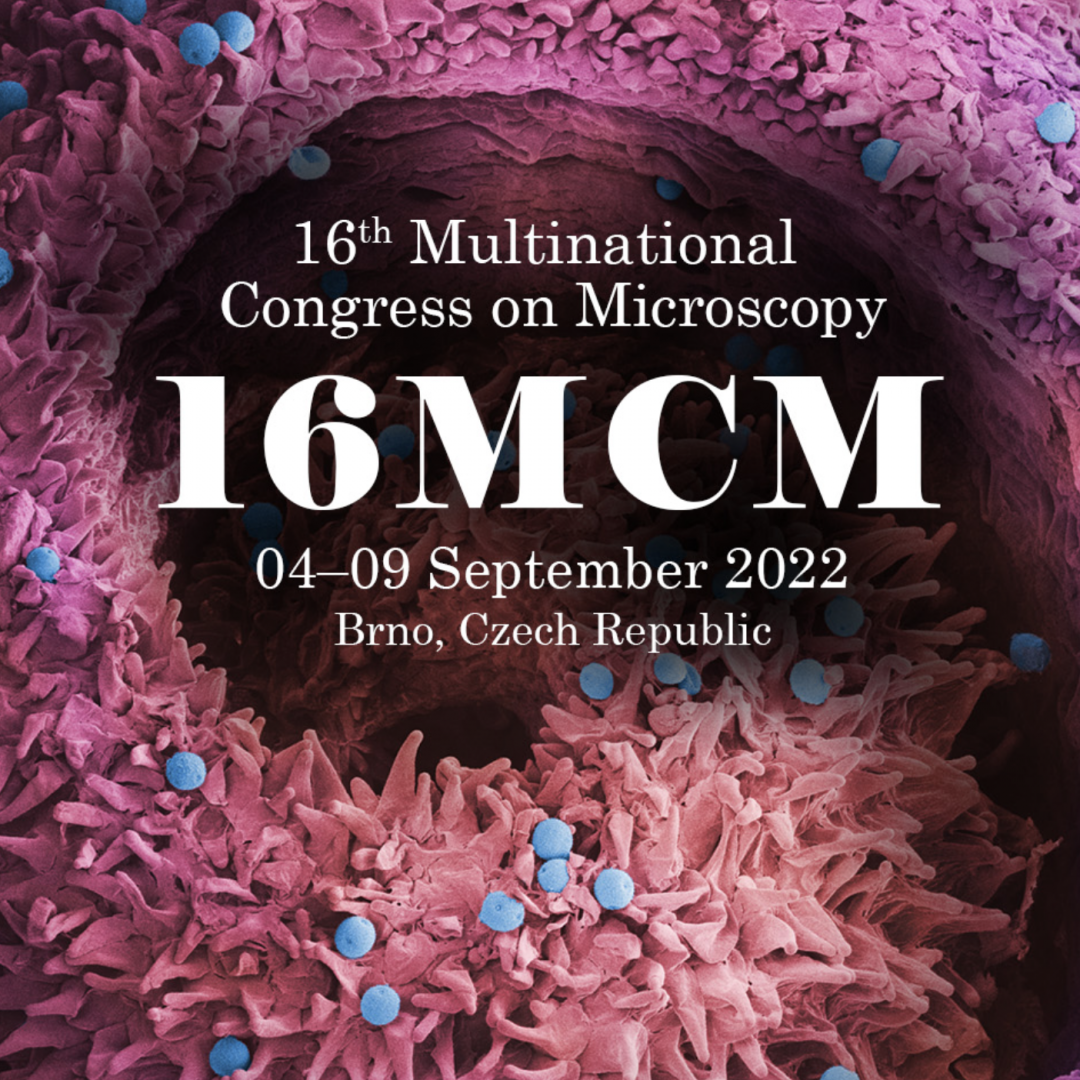 16th Multinational Congress on Microscopy (MCM)