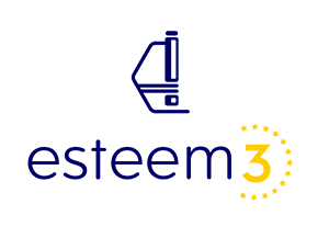 Esteem3 Logo